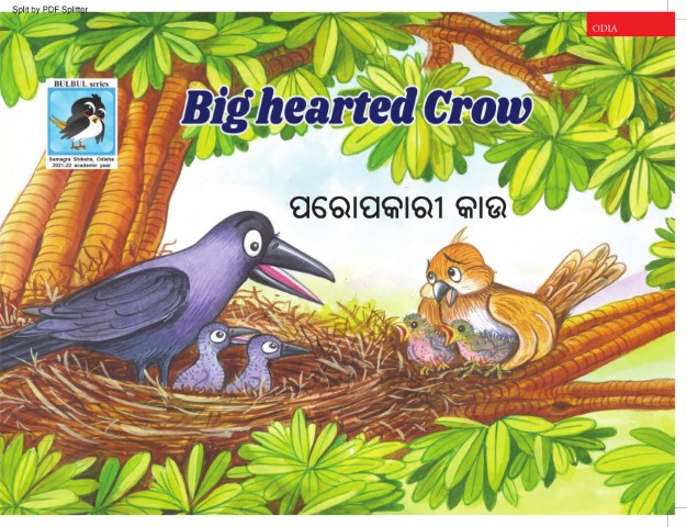 Big Hearted Crow